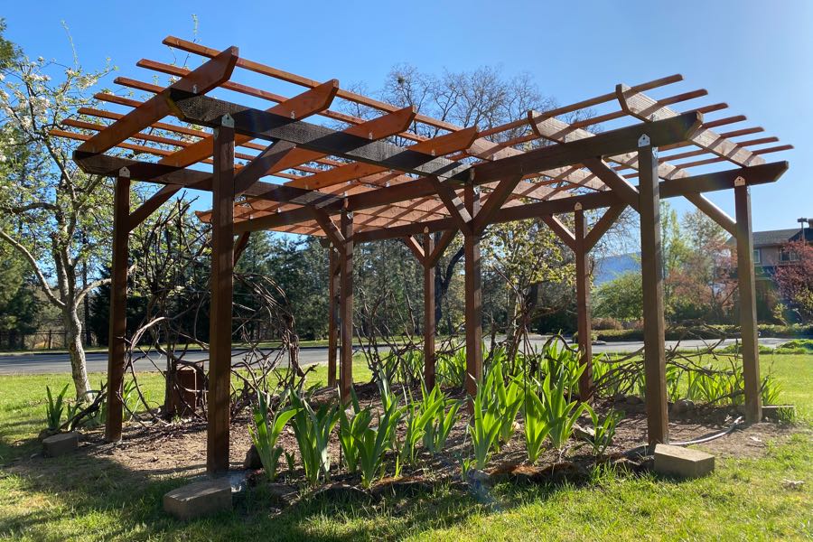 Monthly Volunteer Weekend - Grape Arbor