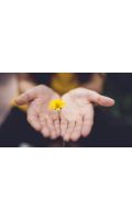 Discover the Healing Power Hidden in Any Shocking Moment of Life