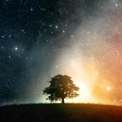 Awaken the Power of Your Supernatural Self