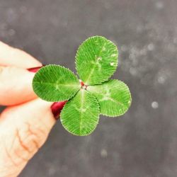 How to Have Good Luck Every Day of Your Life