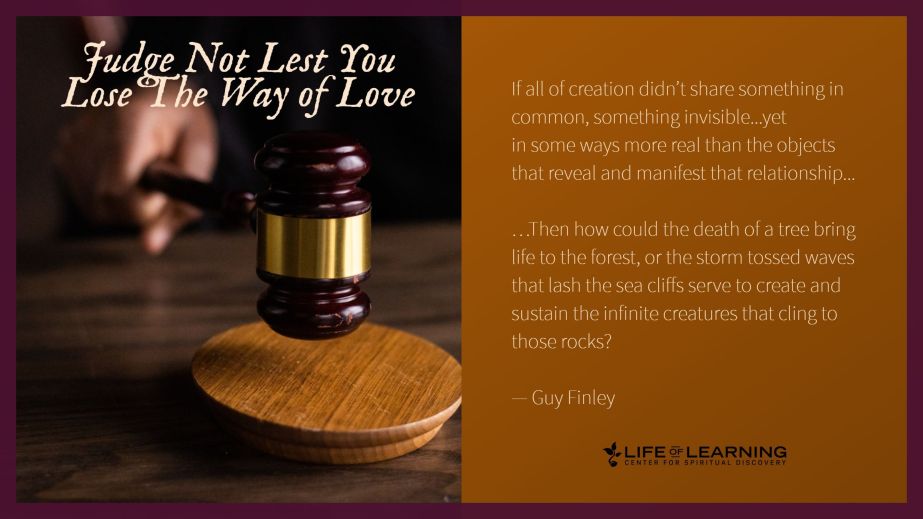 Judge Not Lest You Lose The Way of Love