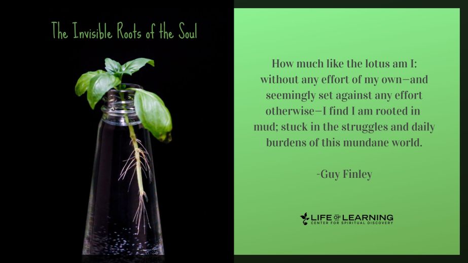 The Invisible Roots of the Soul