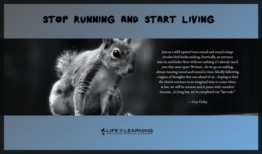 Stop Running and Start Living