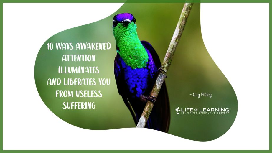 10 Ways Awakened Attention Illuminates and Liberates You from Useless Suffering (Blog)
