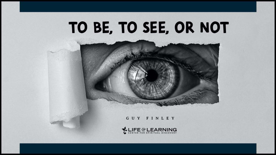 To Be, To See, or Not (Blog)