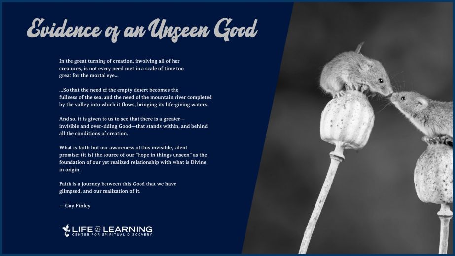 Evidence of an Unseen Good (Blog)