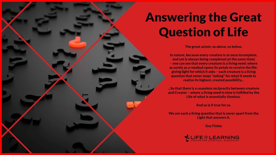 Answering the Great Question of Life (Blog)