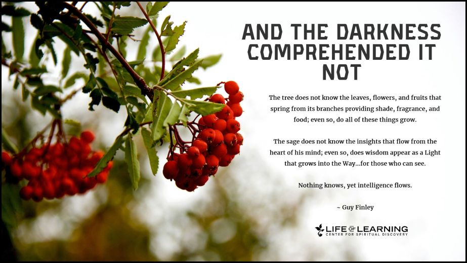 And the Darkness Comprehended It Not (Blog)