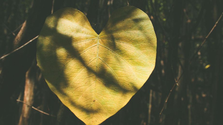 For Love to Last... (Blog)