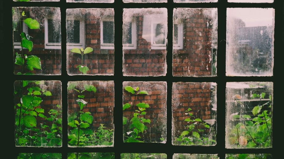 Escape the Prison of the Divided Mind (Blog)