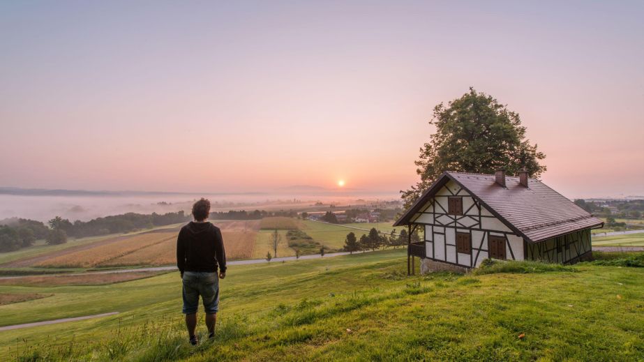 The Right Livelihood (Blog)