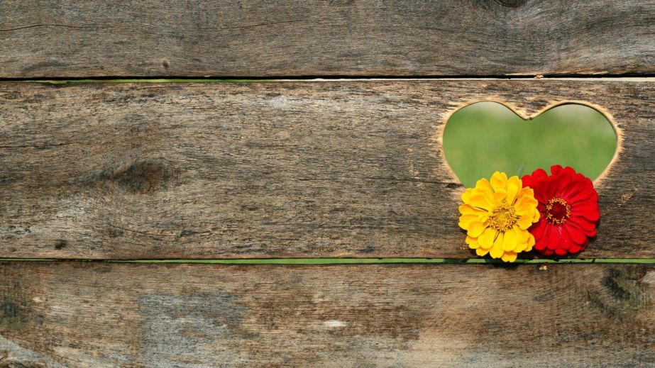 Where Freedom and Power flower together (Blog)