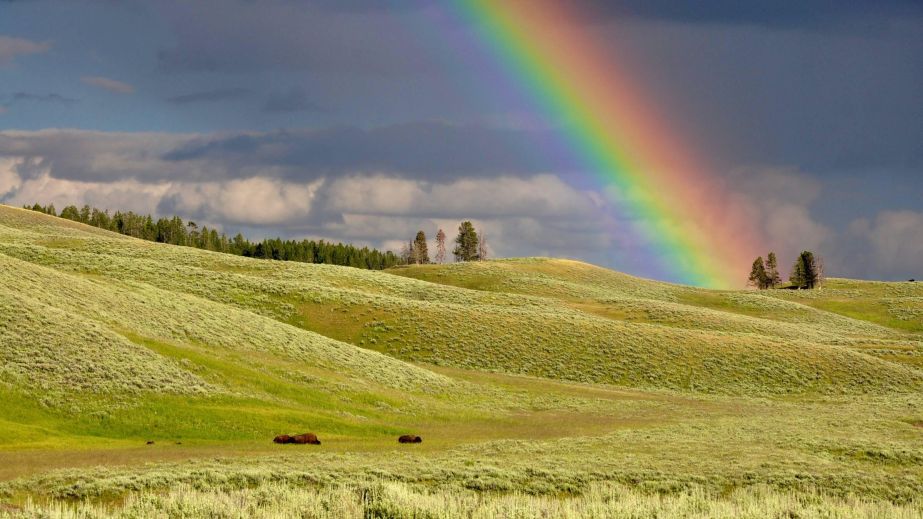 Somewhere Over The Rainbow (Blog)