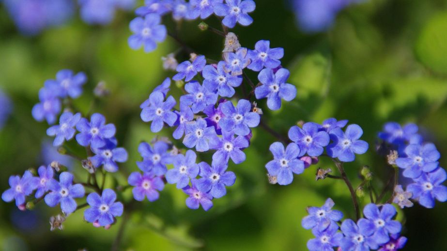 Freedom, Forgetfulness, and Remembering Yourself (Blog)