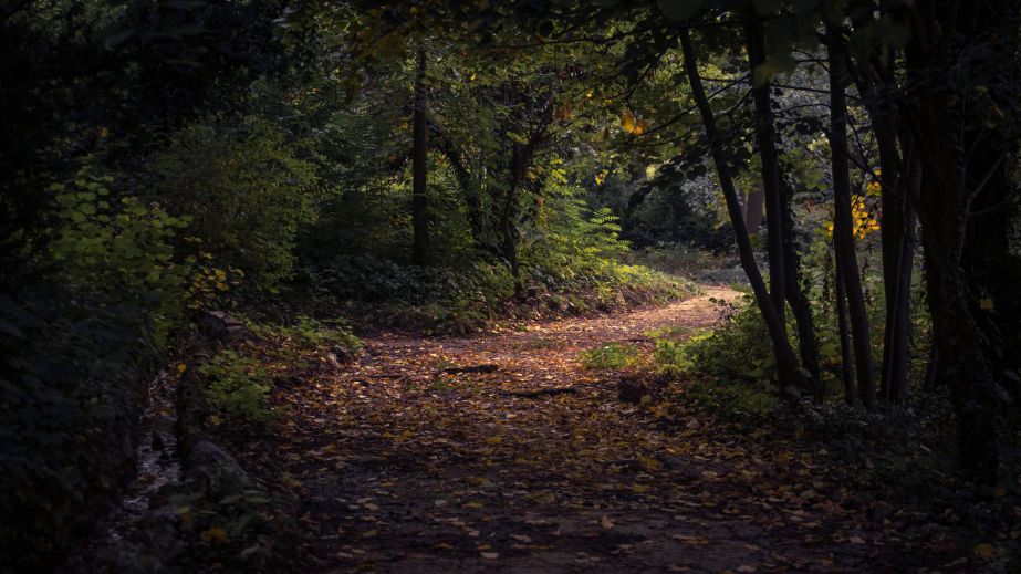 Surrender and the Path to Self-Perfection (Blog)