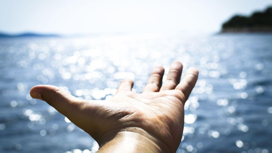 Persist with Your Wish to Know the Perfection of Your True Self (Blog)