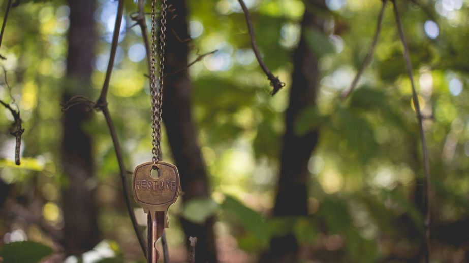 Self-Knowledge is the Key to All Kingdoms (Blog)