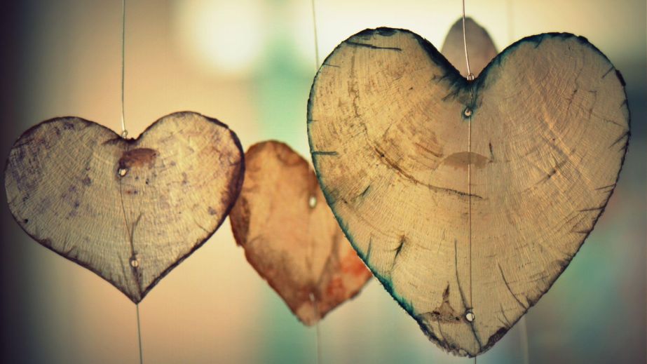 Let Love and Light Be Your Life (Blog)