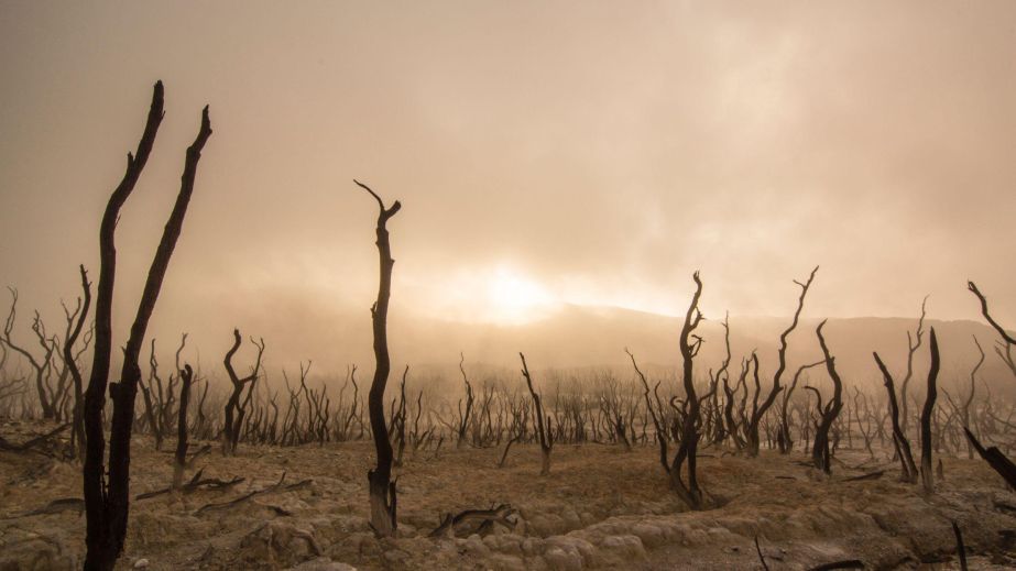Short Commentary on Conscious Suffering (Blog)