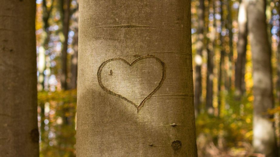 Keep Your Word (Blog)
