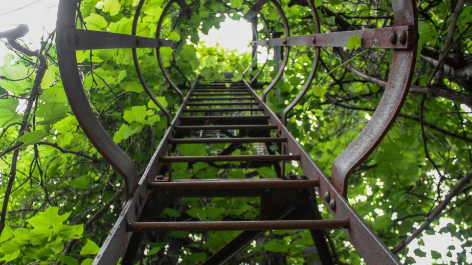 The  Way Down Is Also The Way Up (Blog)