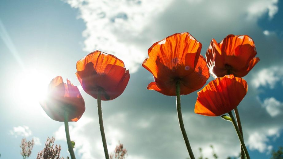 5  Ways to Change Your Level of Being by Letting Your Conscience Be Your Guide (Blog)