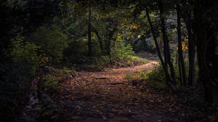 Surrender and the Path to Self-Perfection (Blog)