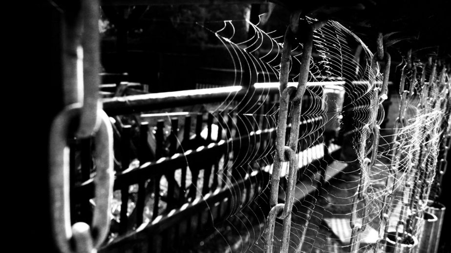 Step  Out of the Snare of the Sleeping Mind (Blog)