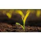Student Talks on "Why a New Life Can Only Begin In a New Place within You"  (01/09/26)