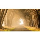 The Secret Path to Being at Peace with Yourself