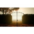 The Narrow Gate that Opens into a World of Living Light