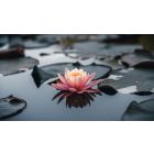 Find the True Center of Yourself and Stop Struggling to Control Life