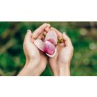 Leave the Tender Moment Alone as the Path of True Transformation (Remastered Classic Talk)