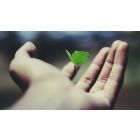 Student Talks on "Realize the Indwelling Life of the Divine and End the Pain of Duality"  (12/19/25)