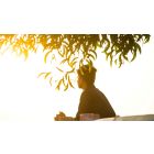 Sit Beneath Your Own “Bodhi Tree” and Be Set Free