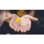 Discover the Healing Power Hidden in Any Shocking Moment of Life