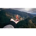 The Secret of Letting Go: How to Drop Fear, Worries, and Painful Regrets