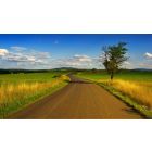 Take the First Step on the Road to Worry-Free Living