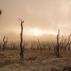 Exposed: The Evolution of Evil: Your Right to Live in the Light