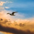The 4 Fundamental Principles of Spiritual Freedom