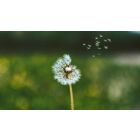 Life Is Beginning Again Everywhere Around Us