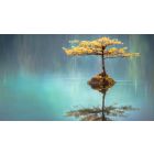 The Unseen Seasons of Seas and Shores (Blog)