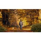 Walk Away From Painful Patterns