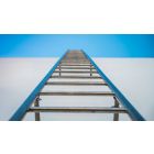 Climb the Ladder of Love to Self-Liberation