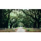 Take the Interior Path to the Fearless Life