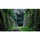 Escape the Prison Called 'The Path of Least Resistance'