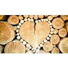 By What It Gives Itself To...Is The Heart Filled