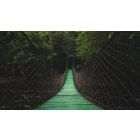 The Bridge of Being