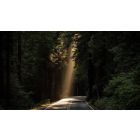 Lessons in Letting the Light Liberate You from Darkness