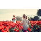 Forty Ways to Determine Your Level of Inner Freedom